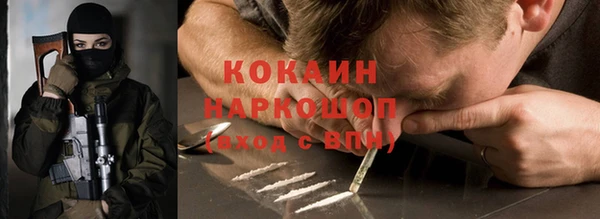 гидра Зеленокумск