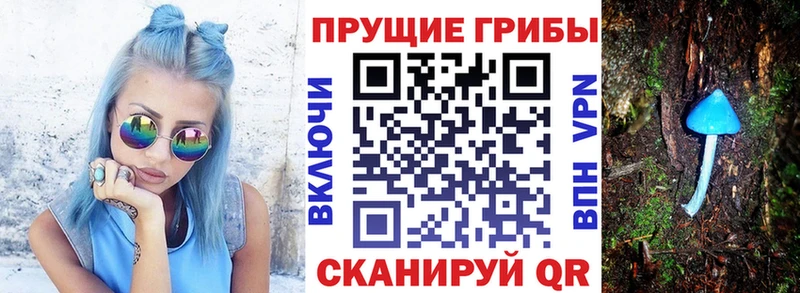 Купить закладки  Гаджиево  Псилоцибиновые грибы GOLDEN TEACHER 
